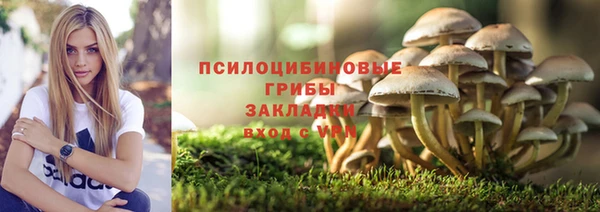скорость Баксан