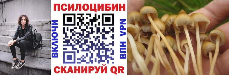 Псилоцибиновые грибы Psilocybine cubensis  darknet формула  Губкин  даркнет сайт 